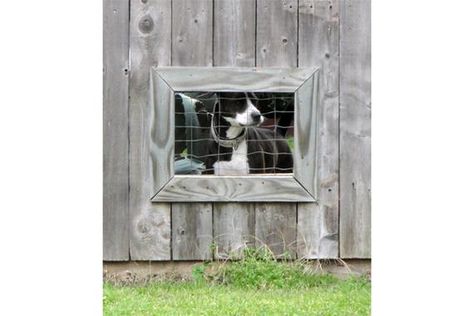 Window In Fence, Dog Run Yard, Backyard Dog Friendly, Backyard Dog Run, Dog Window In Fence, Dog Fence Ideas, Dog Fencing, Fence Building, Dog Friendly Garden