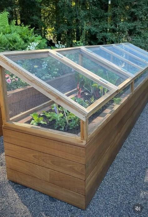 Backyard Farm, Too Real, Backyard Greenhouse, Veg Garden, Home Vegetable Garden, Greenhouse Gardening, Vegetable Garden Design, Food Garden, Long Run