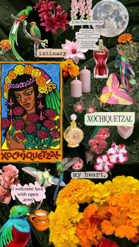 #xochiquetzal #mexica #goddessoflove Aztec Goddess, Goddess Aesthetic, Summer Storm, Magick Book, Goddess Of Love, Art Wallpaper Iphone, Phone Wallpaper Images, Spiritual Practices, Memento Mori