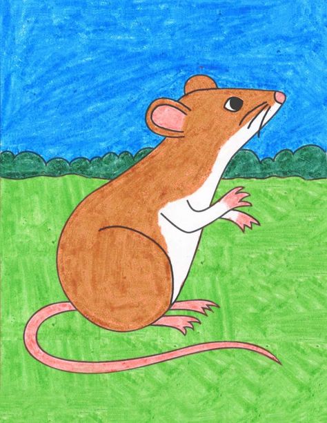 Animal Composition Drawing, How To Draw A Mouse, Animal Drawing For Kids, Exam Drawing, Mouse Sketch, Mouse Art, Mouse Drawing, Draw Easy, Art Projects For Kids