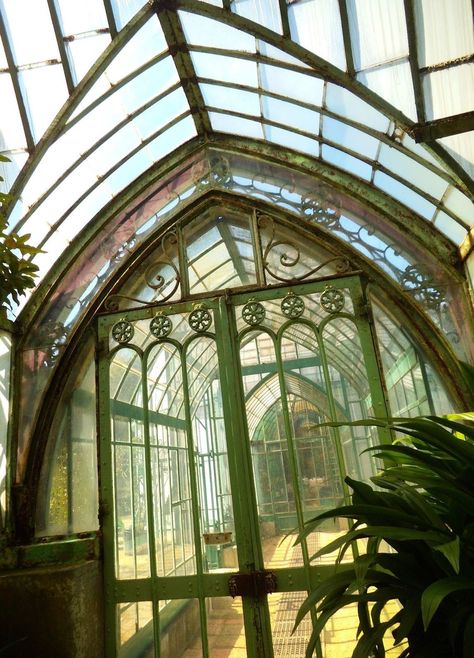 Vintage metal & glass green house Victorian Ironwork, Green House Aesthetic, Tiny Greenhouse, Glass Green House, Cabin Garden, Victorian Greenhouses, Glass Houses, Garden Houses, Indoor Greenhouse