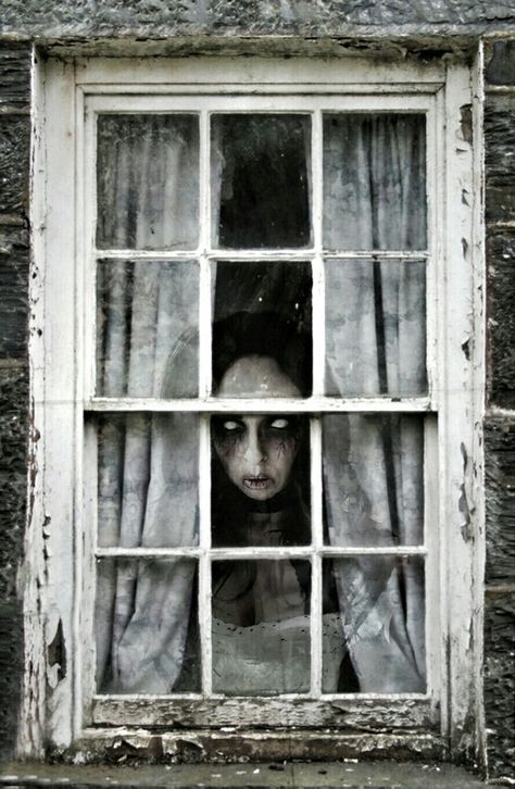 I'm watching you.... creepy halloween inspiration Halloween Booth, Looking Out Window, Booth Diy, Halloween Decorations For Kids, Hallowen Ideas, Scary Ghost Pictures, Homemade Halloween Decorations, 2024 Halloween, Another Day In Paradise