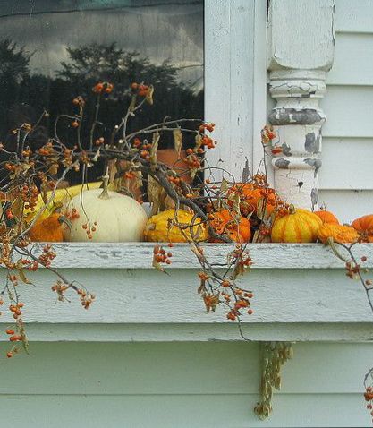 Autumn Window Box with a hint of ChiPPy-WHiTe Architectural SaLVaGe in the Background!*!*! Ideas Para Decorar Jardines, Fall Window Boxes, Pumpkins And Gourds, Fall Windows, Fall Deco, Autumn Decorating, Fabulous Fall, Window Boxes, Easy Fall