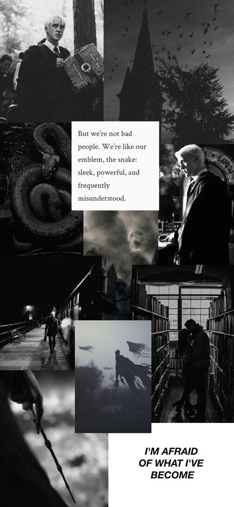 Black And White Slytherin Aesthetic, Draco Constellation Wallpaper, Aesthetic Dark Phone Wallpaper, Slytherin Draco Wallpaper, Draco Malfoy Homescreen Wallpaper, Draco Malfoy Desktop Wallpaper Hd 1080p, Draco Malfoy Wallpaper Lockscreen, Dramione Wallpaper Aesthetic, Drarry Aesthetic Wallpaper