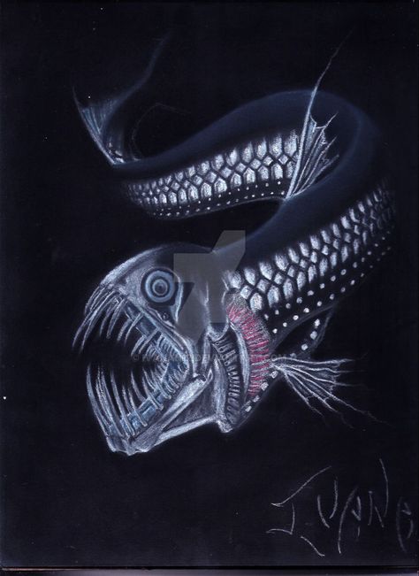 Viper Fish, Lake Town, London Docklands, Dragon Fish, Ocean Girl, Deep Sea Creatures, Sea Monster, Angler Fish, Creature Drawings