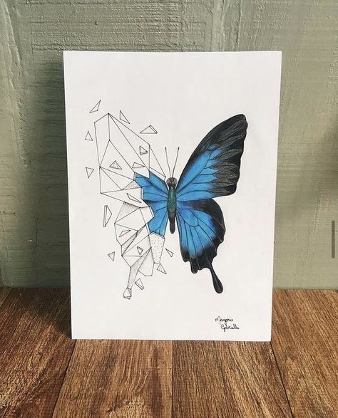 Beautiful Flowers Drawing Sketches, Butterfly Art Drawing, Butterfly Sketch, Easy Mandala Drawing, Butterfly Art Painting, Design Art Drawing, Nature Art Drawings, Getting A Tattoo, Cool Pencil Drawings