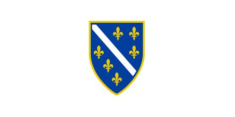 Bosnian flag Bosnian Flag, Bosnia Flag, Herzegovina Flag, Patriotic Symbols, Flag Tattoo, Modern Library, Flag Art, National Football Teams, Flags Of The World