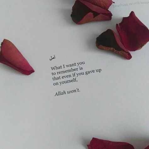 @eliffloralwreath on Instagram: “what i want you to remember is if you ever give up on yourself remember allah wont🌹❤️👊 ve unutma sen kendinden dahi vazgecsen allah senden…” Islamic Sayings, La Ilaha Illallah, Beautiful Names, Photography Quotes, Quotes About Photography, Allah Quotes, Super Quotes, Islamic Phrases, Ideas Quotes