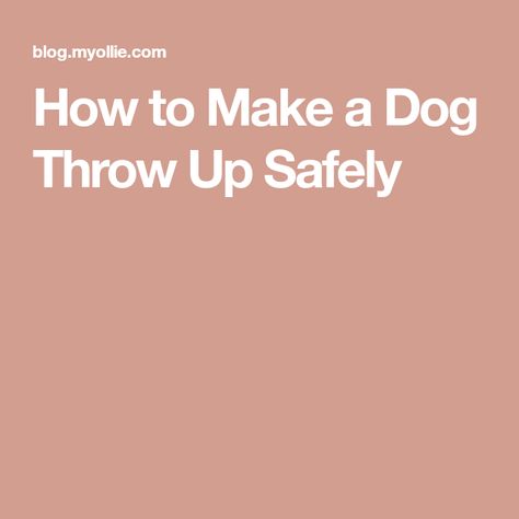 How to Make a Dog Throw Up Safely How To Make A Dog Throw Up, Dog Throwing Up, Dog Medicine, Dog Remedies, Dog Eating, Dog Health, Pet Parent, Humane Society, Pet Health