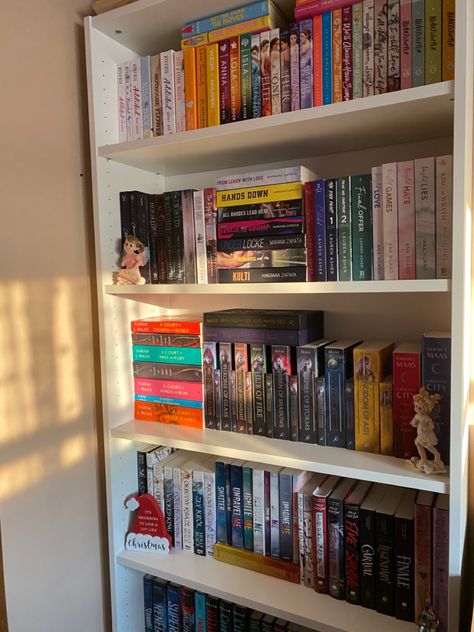 Bookshelf Filled With Books, Deep Book Shelf Organization, Book Case Organisation, Astetic Bookshelf, Book Filled Room, Aesthetic Bookshelf Organization, Book Shelf Astethic, Book Shelf Organizing, Cozy Bookish Bedroom