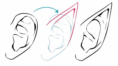 Guide to Drawing Ears | Art Rocket Elf Ear Tutorial, How To Draw Ears, Elf Ear, Fairy Ears, Human Ear, Ear Art, Anime Elf, Ear Parts, Body Base Drawing