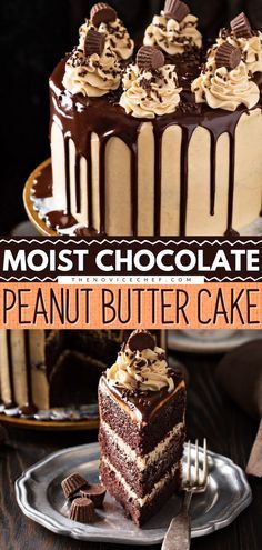 Reeses Peanut Butter Cake, Piniata Cake, Chocolate Peanut Butter Cake Recipe, Peanut Butter Cake Recipe, Peanut Butter Chocolate Cake, Butter Chocolate Cake, Peanut Butter Frosting Recipe, Peanut Butter Sheet Cake, Peanut Butter Icing