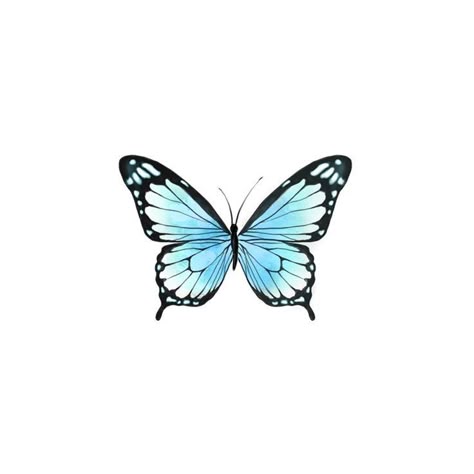 Borboleta Tattoo, Blue Butterfly Tattoo, Beachy Wall Art, Blue Butterfly Wallpaper, Beautiful Flower Tattoos, Illustration Doodle, Tattoo Artwork, Butterfly Wallpaper Iphone, Butterfly Tattoo Designs