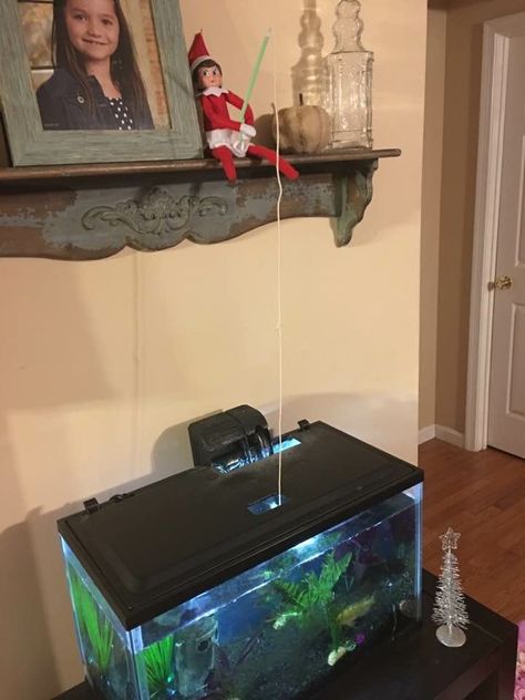 Elf on the shelf ideas - fishing in the fish tank Elf On The Shelf Fish Tank, Elf On The Shelf Fishing, Buddy The Elf, Elf On The Shelf Ideas, Amazon Store, Shelf Ideas, A Shelf, The Fish, On The Shelf