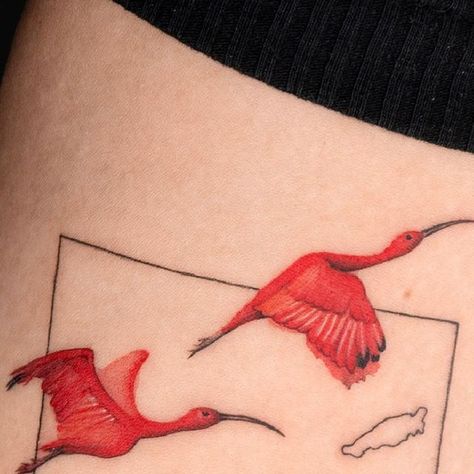 Choi Yun on Instagram: "🇹🇹  Trinidad Tobago + Scarlet ibis  🇺🇸 NYC Oct~ @bangbangnyc  📩Appts@bangbangforever.com  #nyctattoo #newyorktattoo #linetattoo #simpletattoo #customdesign #customdesigntattoo #colortattoo #birdtattoo #새타투 #컬러타투 #라인타투" Scarlet Ibis Tattoo, Trinidad Tattoo Ideas, Ibis Tattoo, Trinidad Tattoo, Scarlet Ibis, New York Tattoo, Nyc Tattoo, Trinidad Tobago, Tattoo Inspo