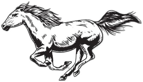 Horse Running, Running Horse, Horse Illustration, Hand Drawn Vector Illustrations, Hand Drawn Vector, The Horse, Vector Art, Hand Drawn, Vector Free