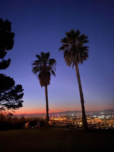 The bluff at LMU Lmu University Aesthetic, Lmu University, Cali Aesthetic, Loyola Marymount University, University Aesthetic, Living In La, College Campus, 2024 Vision, School College