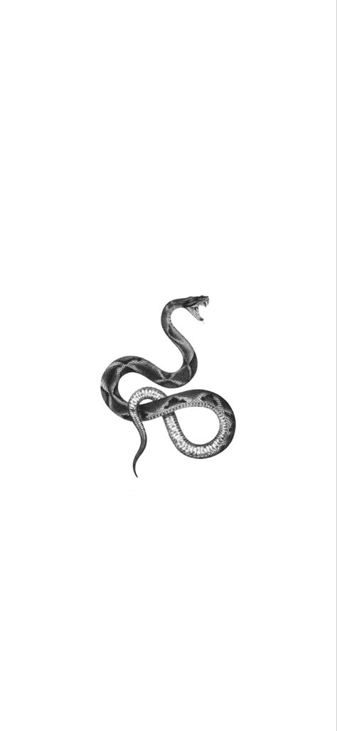 White Snake Aesthetic Wallpaper, Aesthetic Snake Wallpaper, White Snake Wallpaper, Snake Lockscreen, Snake Aesthetic Wallpaper, Snake Wallpaper Iphone, Snake Wallpaper Aesthetic, Adorable Snakes, Art Snake