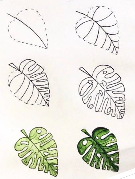 How To Draw Monstera Plant, How To Doodle Plants, Simple Plant Drawing Ideas, Easy Monstera Leaf Drawing, Basic Leaf Drawing, Simple Foliage Drawing, How To Draw Tropical Leaves Step By Step, Monstera Drawn Simple, Drawing Plants Easy