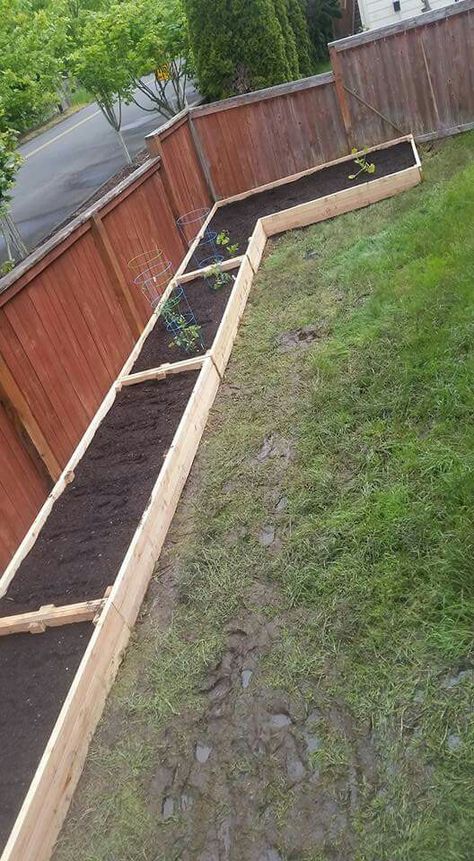 Small Garden Inspiration, Backyard Garden Beds, Backyard Vegetable Gardens, Small Backyard Gardens, Diy Backyard Landscaping, Home Vegetable Garden, Garden Yard Ideas, Backyard Garden Design, Vegetable Garden Design