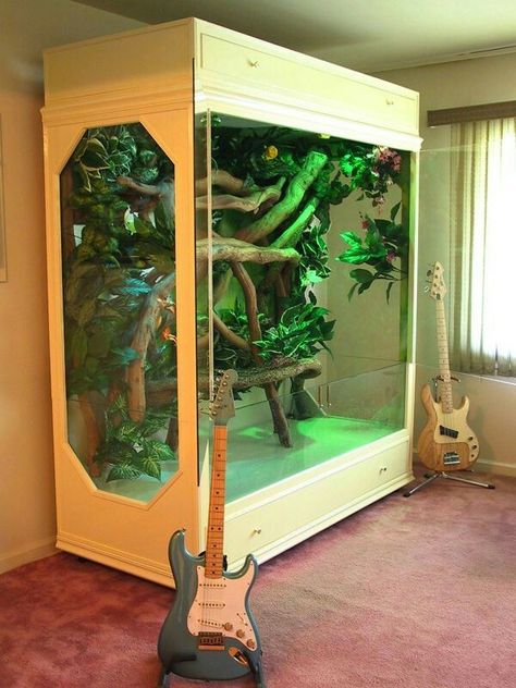 Iguana Terrarium, Beardie Tank, Iguana Cage, Vivarium Ideas, Chameleon Cage, Snake Cages, Aquarium Art, Animal Enclosures, Snake Terrarium