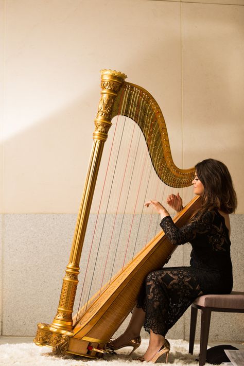 Harp Aesthetic, Music Infographic, Harp Instrument, Harp Playing, Playing The Harp, Alice Coltrane, Harp Music, Celtic Harp, Musician Photography