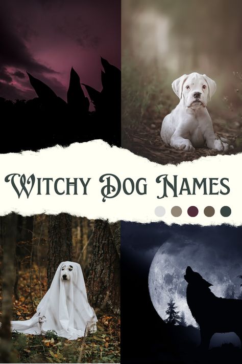 witchy dog names Scary Names For Dogs, Goth Dog Names, Witchy Pet Names, Fantasy Pet Names, Witchy Dog Names, Dog Names Aesthetic, Magical Names For Characters, Boho Dog Names, Female Dog Names Unique List