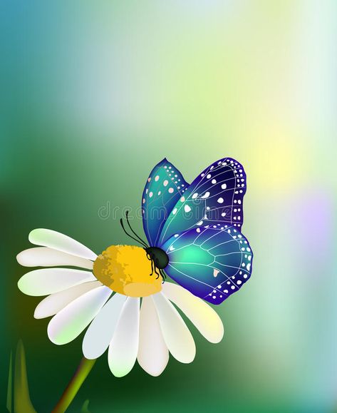 Vector blue butterfly on the daisy-flower. With the sky background , #Aff, #butterfly, #blue, #Vector, #daisy, #background #ad Sky Background Illustration, Butterfly Watercolor Painting, Painting Clipart, Sky Background, Butterfly Watercolor, Green Garden, Background Illustration, Blue Butterfly, The Sky