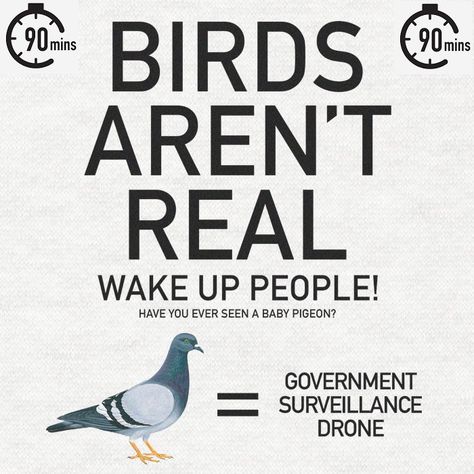 Birds Arent Real, Flying Robot, Baby Pigeon, Feathered Wings, Bird Control, Bird Brain, Open Your Eyes, Current News, Pigeon