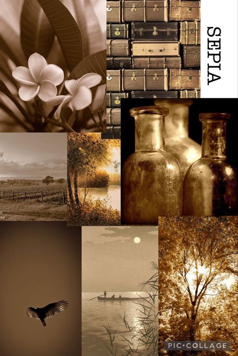 Sepia Aesthetic, Cottage Colors, Color Theory Art, Sepia Color, Palette Design, Dark Autumn, Print Ideas, Aesthetic Pastel, Reno Ideas