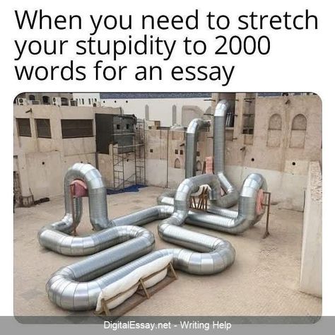 #essay #essaywriting #essaytips #essayhelp #essayontime #college #homework #memes #humor #writingpaper #collegehumor #essayhumor College Homework Humor, Math Essay, Student Life Funny, Essay Transitions, College Life Humor, Essay Memes Funny, Funny Burns, Homework Humor, Essay Starters