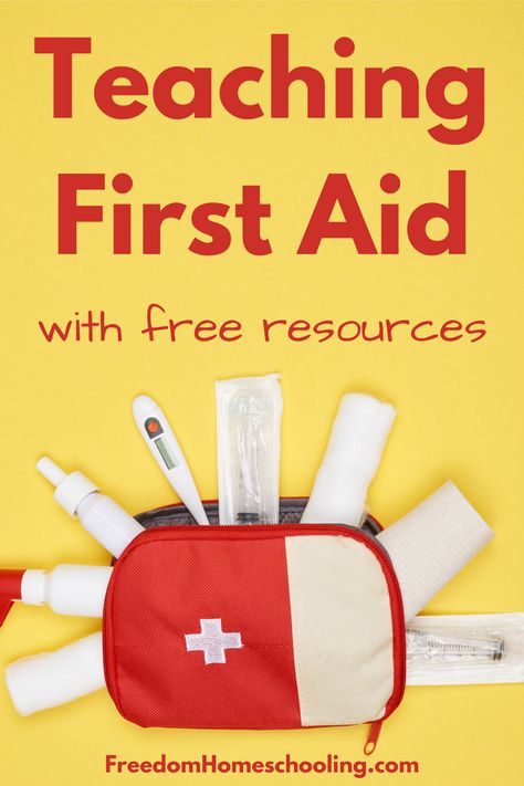 Here's how to teach first aid in your homeschool, family, or classroom using free resources and curriculum found online. First Aid Games For Scouts, Homeschool Electives, First Aid For Kids, Living Off Grid, Homeschool Family, First Aid Tips, Basic First Aid, Primary Ideas, Safety And First Aid