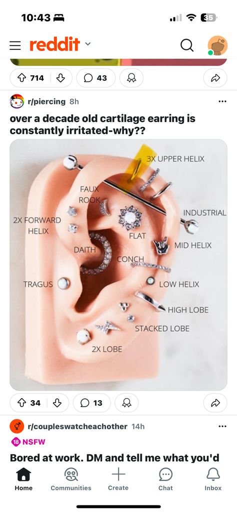 All Ear Piercings Chart, Ear Piercings Placement Chart, All Ear Piercings, Piercings Chart, Ear Piercings Chart, Piercing Chart, Forward Helix, Bored At Work, Cartilage Earrings