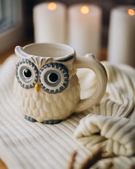 Owl Pottery Painting Ideas, University Bedroom, Owl Pottery, Romantic Kitchen, Clay Owl, Owl Mug, Coffee Cup Design, Clay Design, Christmas Couple