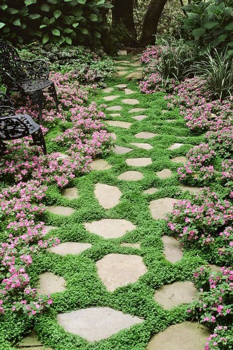 Ground Cover Flowers Drawf Impatients Ground Cover Flowers, Perennial Ground Cover, French Country Garden, Garden Stepping Stones, Stone Path, Ground Cover Plants, Garden Pathway, Kew Gardens, Perfect Plants