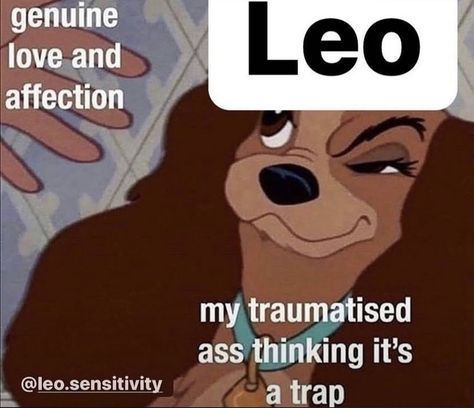 Leo Memes Zodiac Sign, Leo Memes Zodiac Funny Truths, Leo Memes Funny, Zodiac Leo Art, Leo Zodiac Quotes, Leo Sun, Leo Quotes, Leo Zodiac Facts, Leo Girl