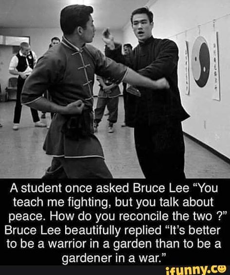 A student once asked Bruce Lee "You teach me fighting, but you talk about peace. How do you reconcile the two Bruce Lee beautifully replied "It's better to be a warrior in a garden than to be a gardener in a war." - ) Martial Arts Quotes, Bruce Lee Quotes, Warrior Quotes, Badass Quotes, Bruce Lee, Quotable Quotes, Wise Quotes, Meaningful Quotes, Great Quotes