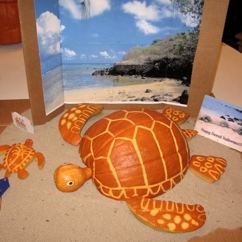 Sea turtle pumpkin Beach Thanksgiving, Coastal Pumpkins, Coastal Halloween, Turtle Pumpkin, Awesome Pumpkin Carvings, Pumpkin Templates, Decorating Pumpkins, Pumkin Decoration, Class Mom