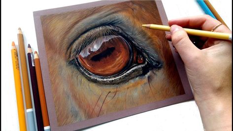 Today I am drawing a realistic horse eye with Stabilo and Faber Castell pastel pencils on pastelmat! Horses are my favourite animals to draw, so I wanted to devote a video to drawing the horse eye in a realistic style. I hope you enjoyed it! Based on a photograph by Roxy Hood. Get access to […] The post Let's draw a realistic horse eye | Pastel Pencils appeared first on PaintingTube. Draw Horse, Soft Pastels Drawing, Drawing Instructions, Pencil Drawings For Beginners, Tree Drawings Pencil, Pencil Drawing Tutorials, Horse Eye, Eye Sketch, Pastel Sec