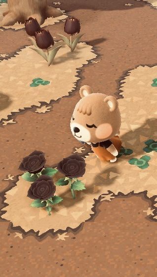 Animal Crossing Characters, Animal Crossing Villagers, Character Collection, Brown Aesthetic, Animal Crossing, Cute Wallpapers, Art Reference, Sketch Book, Teddy Bear