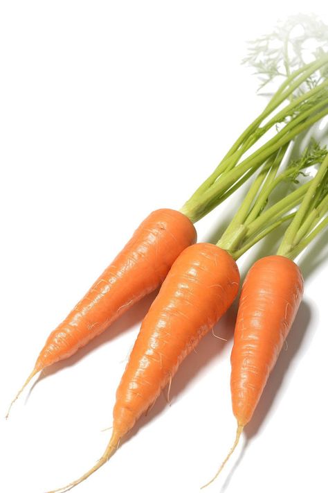 Carrot Gardening, Micro Garden, Daucus Carota, Carrot Seeds, Seed Saving, Seed Company, Summer Squash, Heirloom Seeds, Top Chef