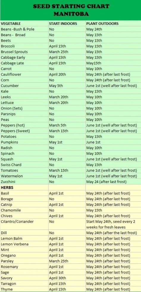 Seed Starting Chart - Jensen’s Nursery and Garden Centre Seed Starting Chart, Starting Seeds, When To Plant, Starting Seeds Indoors, Garden Centre, Parsnips, Seed Starting, Leeks, Garden Center