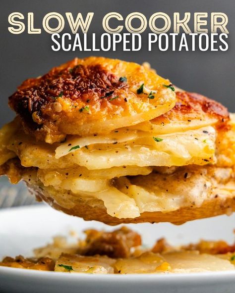 The Stay At Home Chef The Stay At Home Chef Recipe, Slow Cooker Scalloped Potatoes, Down Home Cooking, Company Recipes, Cheesy Scalloped Potatoes, The Stay At Home Chef, Stay At Home Chef, Scalloped Potatoes Cheesy, Crock Pots