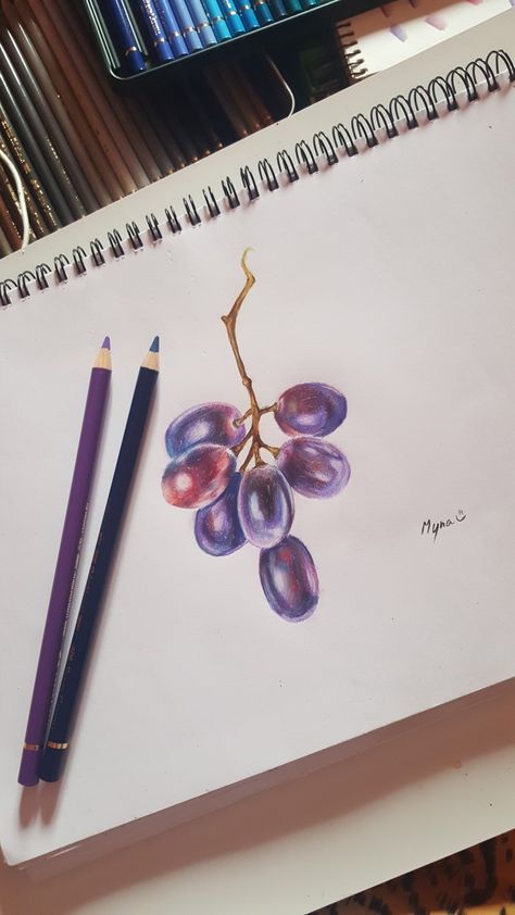 Polychromos drawing (: #grapes #fabercastell Grapes Drawing Colour Pencil, Colorpencils Drawing Aesthetic, Drawing Grapes, Grapes Drawing, Grape Drawing, Colored Pencil Artwork Ideas, Grape Painting, Pomegranate Art, Color Pencil Sketch