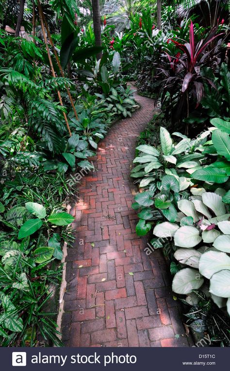 Jim Thompson house garden museum bangkok thailand tropical gardens Stock Photo - Alamy Jim Thompson House, Small Tropical Gardens, Garden Museum, Tropical Garden Design, Jim Thompson, Tropical Gardens, Gardens Design, River House, House Garden