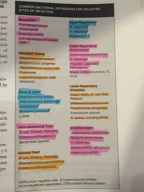 Common bacterial pathogens Pharmacology Mnemonics, Nursing School Studying Cheat Sheets, Neuro Nurse, Streptococcus Pneumoniae, Nursing School Studying, Medical Laboratory, Med School, Medical Education, Pharmacology