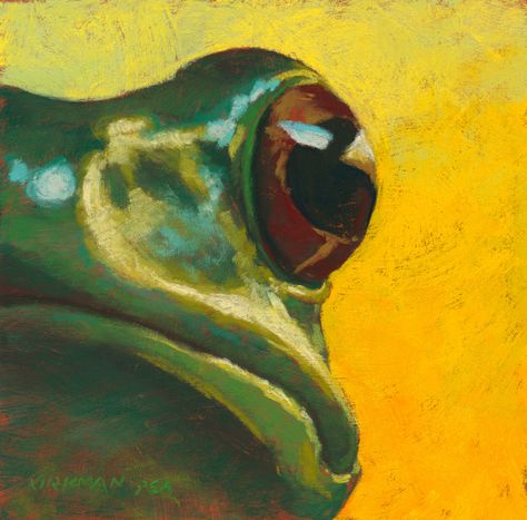 Paintings Of Frogs, Frog Oil Painting, Frog Painting Ideas, Frog Sketches, Park Doodle, Toad Painting, Reptile Painting, Frog Art Aesthetic, Frog Artwork