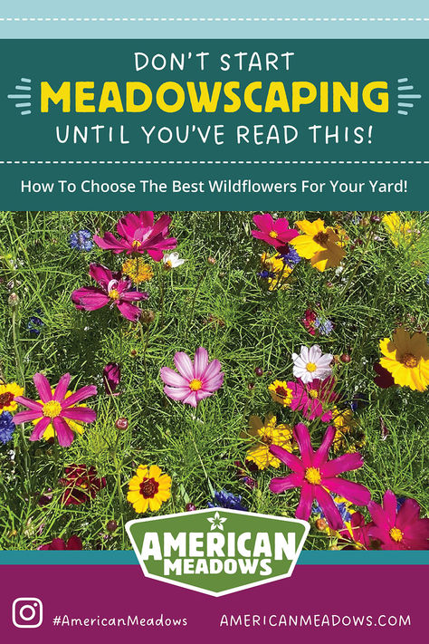 Don't Start Meadowscaping Until You've Read This! How to choose the best wildflowers for your yard from the experts at American Meadows. Types Of Wildflowers, American Meadows, Grasses Garden, Cut Flower Garden, Wildlife Habitat, Wildflower Seeds, Types Of Soil, Grasses, Native Plants