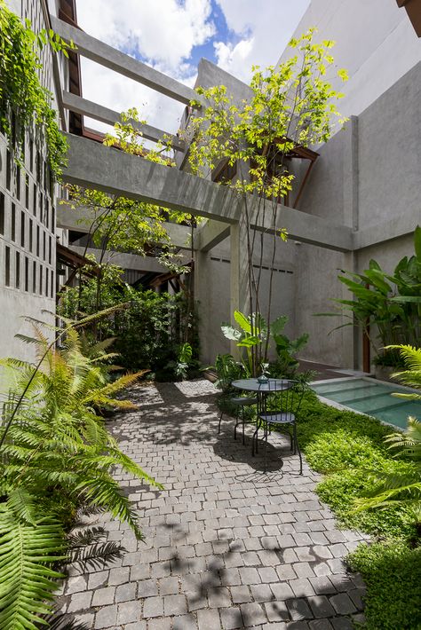 Gallery of Hidden Garden Hostel / Full Scale Studio - 2 Courtyard Apartments, Row House Design, Architecture 101, Tropical Landscape Design, Hostels Design, Courtyard Design, Tropical Architecture, Hidden Garden, Tropical Holiday