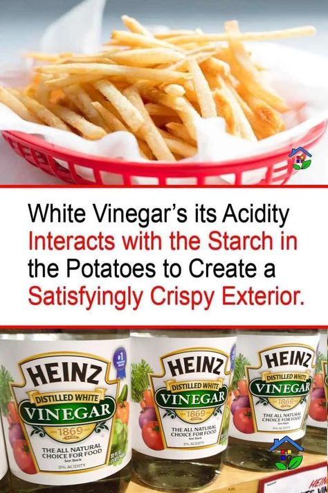 White Vinegar: Your Key to Crispy French Fries Salt And Vinegar French Fries, Crispy Air Fryer French Fries, Best Potatoes For French Fries, Air Fry French Fries Fresh, Crispy Oven Fries Cornstarch, French Fries On Stove Top, Homemade French Fries In Deep Fryer, Crispy French Fries Recipe, Homemade Fried French Fries